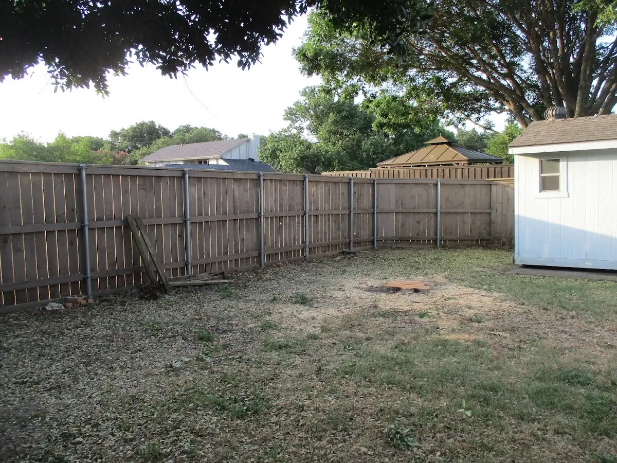 Cleared yard after professional tree removal in Wahkon
