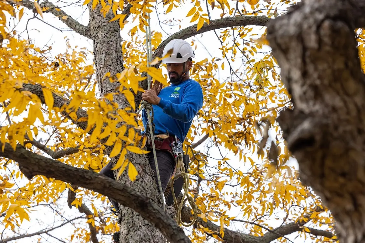 Skilled Storm Damage Cleanup crew working in Wahkon